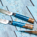 Bondi Beach Series VG-10 Damascus Steak Knife Set of 4 - Resin and Wood Burl Handles